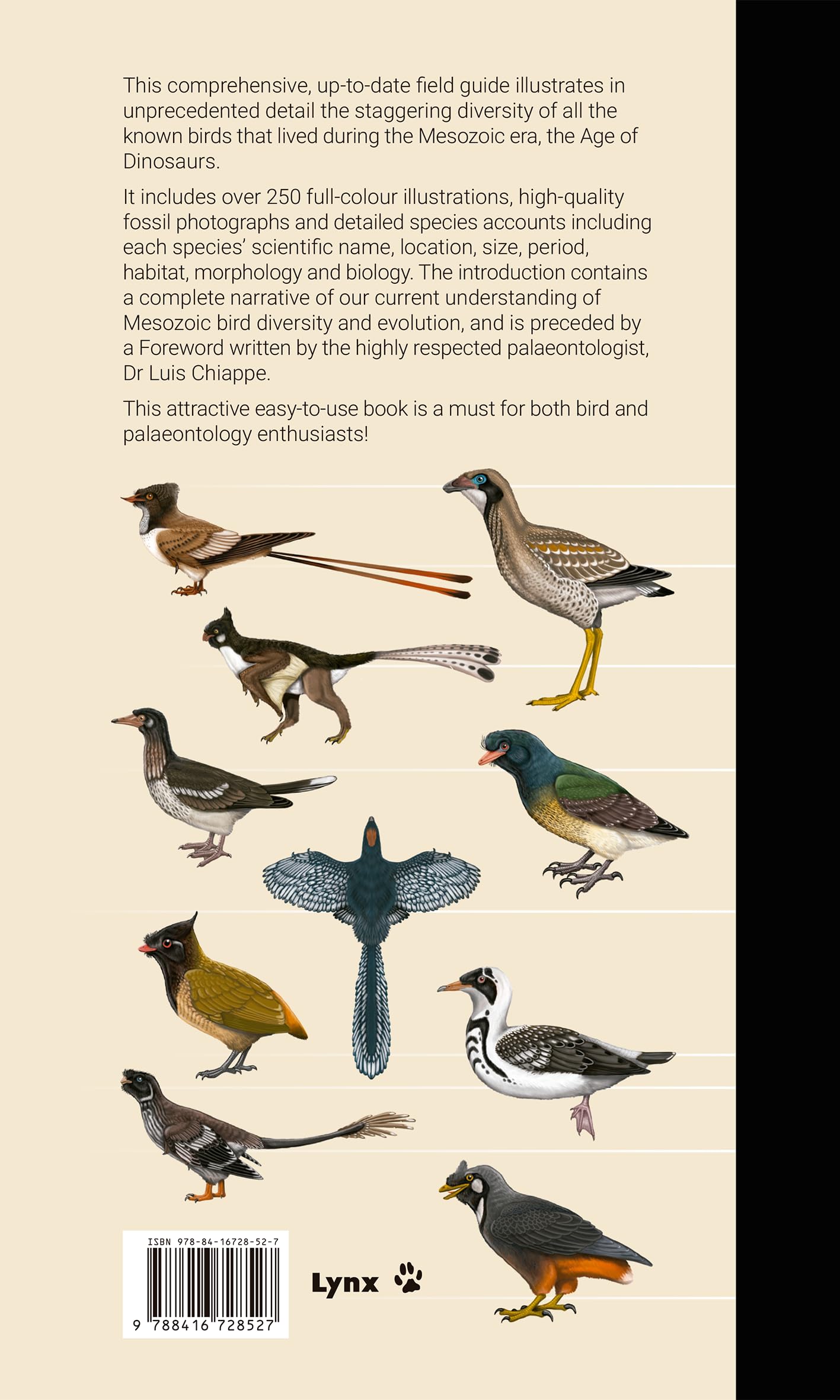 Birds of the Mesozoic