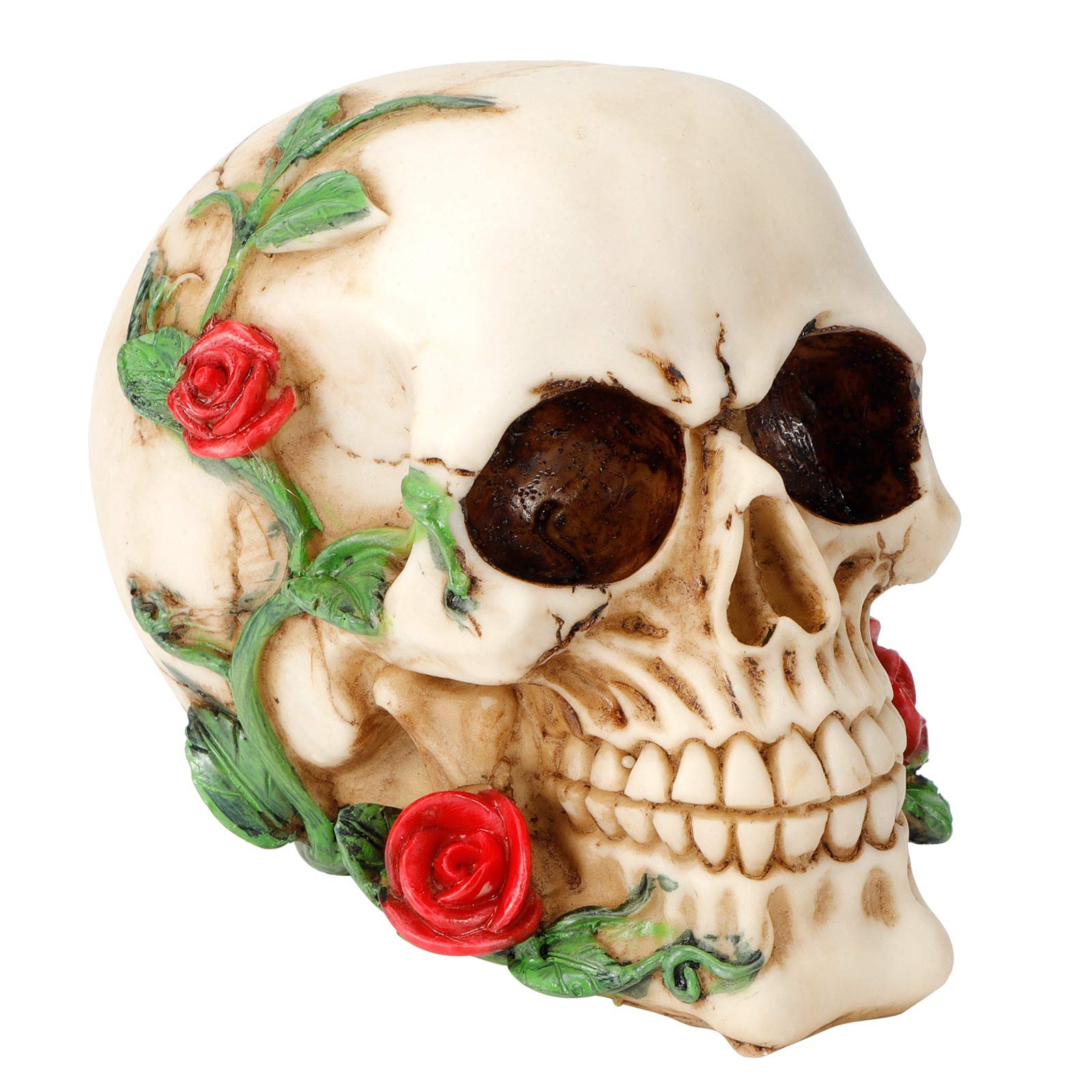 Amazon.co.jp: 樹脂頭蓋骨装飾、花付き人間の頭蓋骨頭の骨、スケルトン