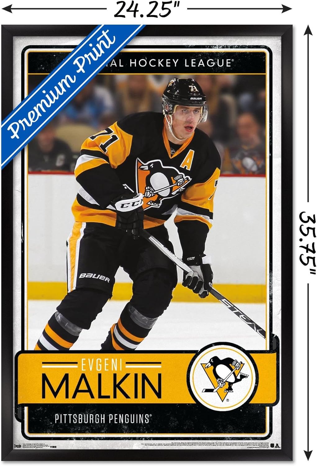 Trends International NHL Pittsburgh Penguins - Evgeni Malkin 16 Wall Poster, 22.375" x 34", Black Framed Version