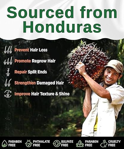 Miniatura 5 de Batana Romero - Suero para el crecimiento del cabello, orgánico, aprobado por el Dr. Sebi, reparación intensiva, fortalece el adelgazamiento del