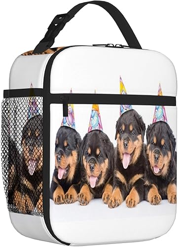 Bolsa de almuerzo aislada para mujeres y hombres para el trabajo, cachorros rottweiler con sombreros de cono de fiesta, lonchera reutilizable a