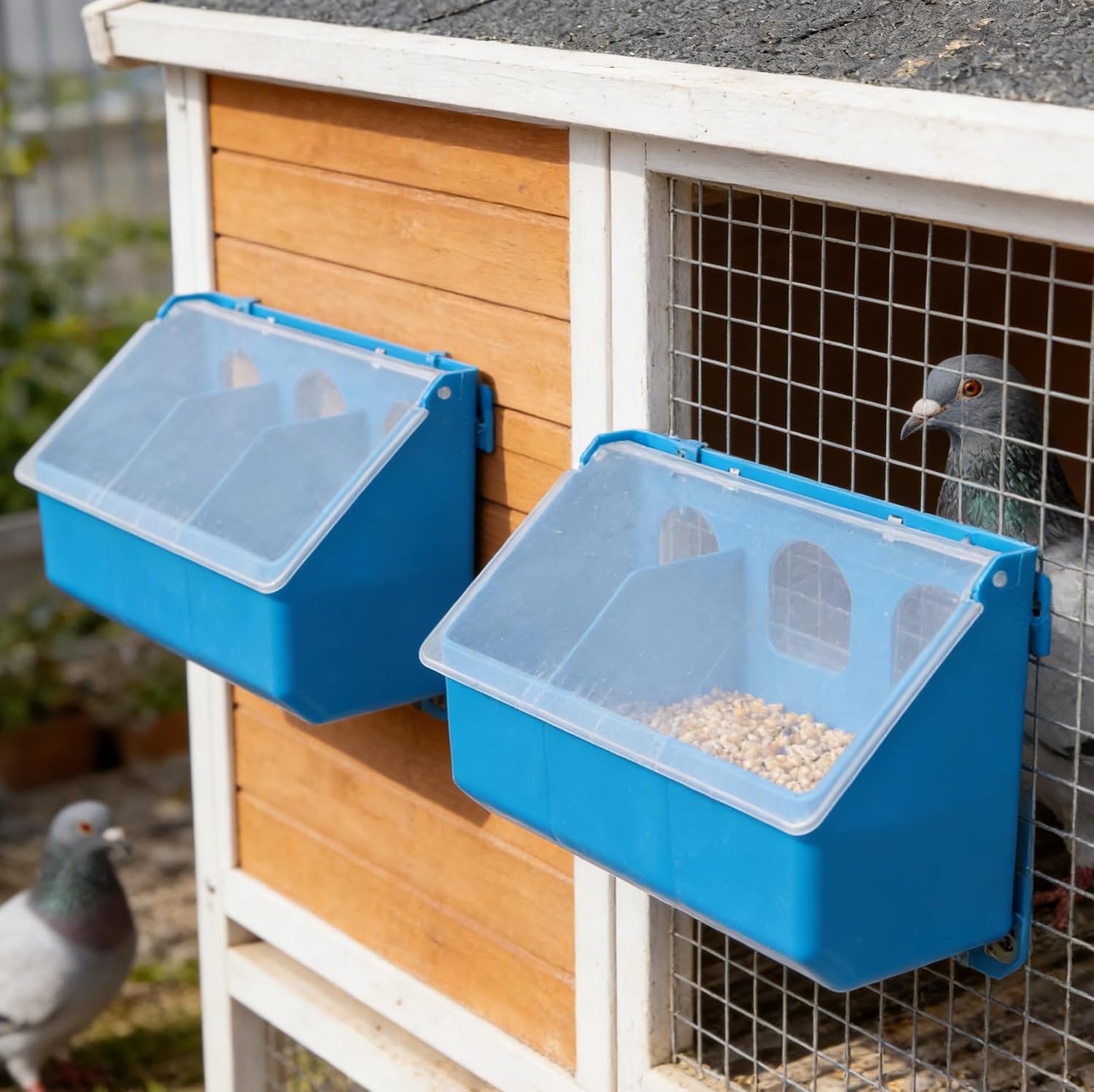 Outanaya 2-Pack Pigeon Feeder Box with Lid 3-Hole Hanging Bird Feeding Box for Cage Waterer Grit Holder and Food Container for Pigeons 9.84 X 5.51 X 3.54 in