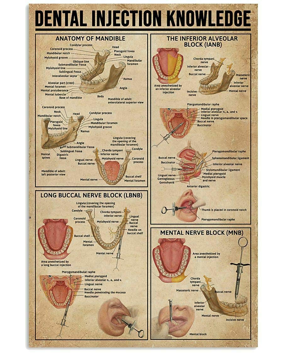 HOUVSSEN Dental Injection Knowledge Gift for Dentist Wall Décor Artwork Ed Poster Chart Metal Tin Sign School Metal Tin Signs 8x12 Inch