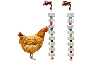 Large Chicken Chewing Toy 2-Pack: Boredom Busters for Chickens