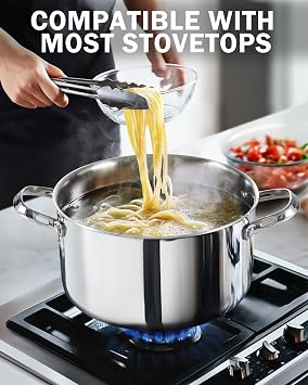 Cooks Standard Multi-Ply Clad 4 Quart Stock Pot, Stainless Steel Dutch Oven