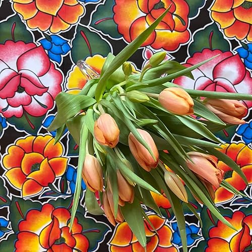 Miniatura 6 de The Fern Trail Mantel mexicano de tela de aceite  Mantel para exteriores  Paño de aceite  Tapete impermeable  Tapete de picnic  Mantel de vinilo