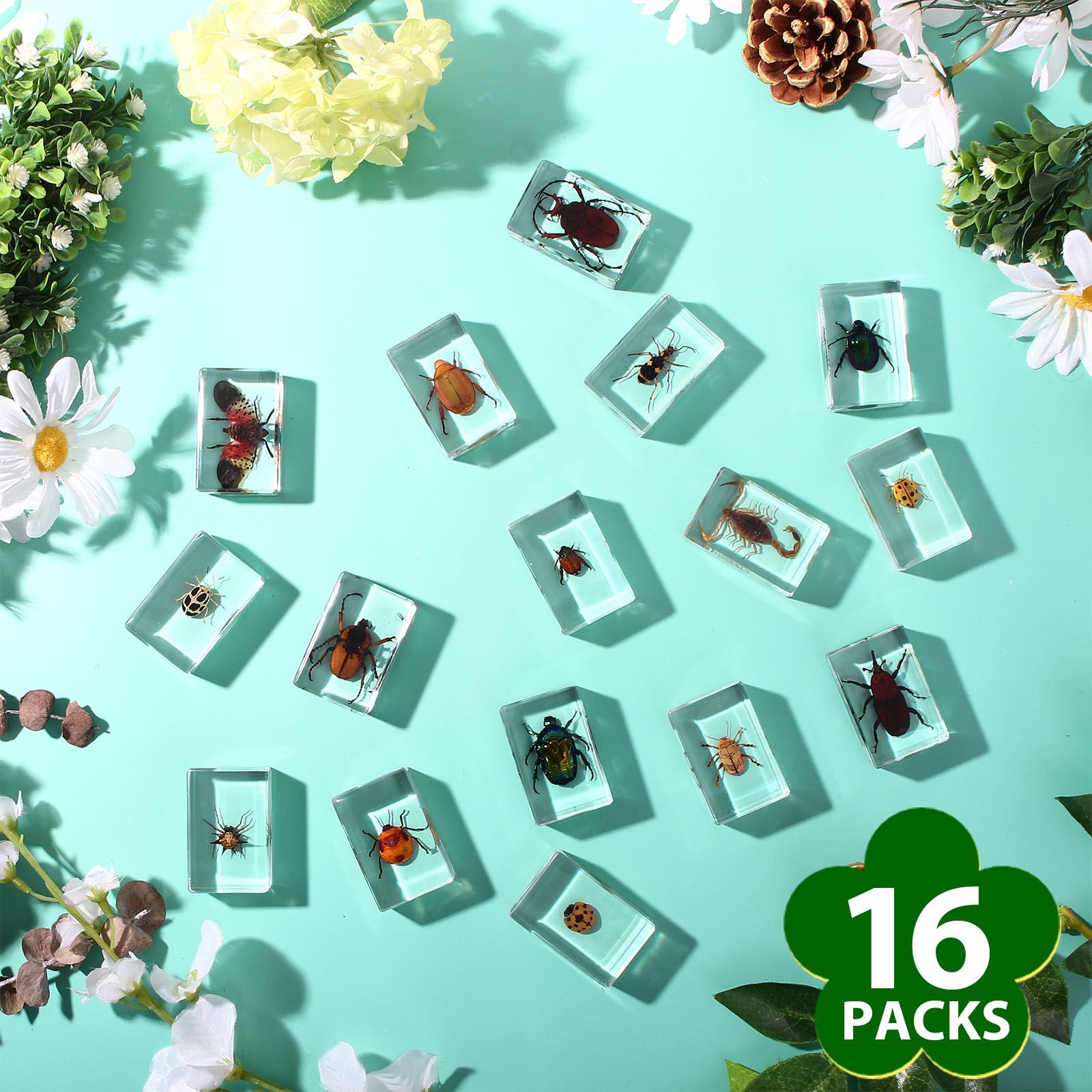 Amazon.co.jp: 16個 てんとう虫 昆虫 樹脂製 標本 蝶 虫 コレクション