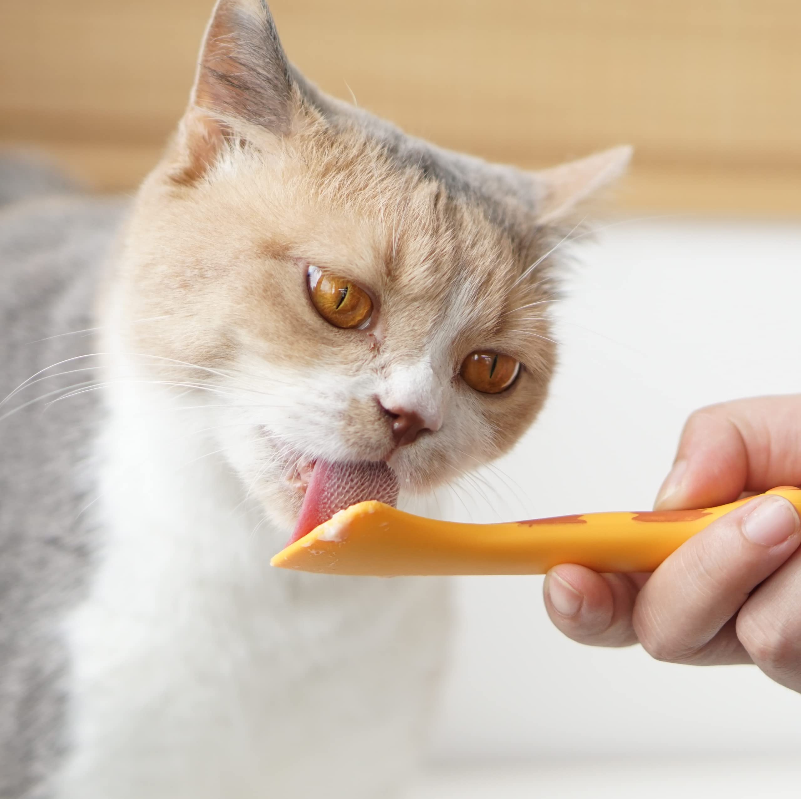 Meow&Woof Cucchiaio per cibo umido per gatti, mini spatola per alimenti in scatola per animali domestici, senza BPA, per l'alimentazione degli animali, spatole per barattoli piccoli, raschietto facile