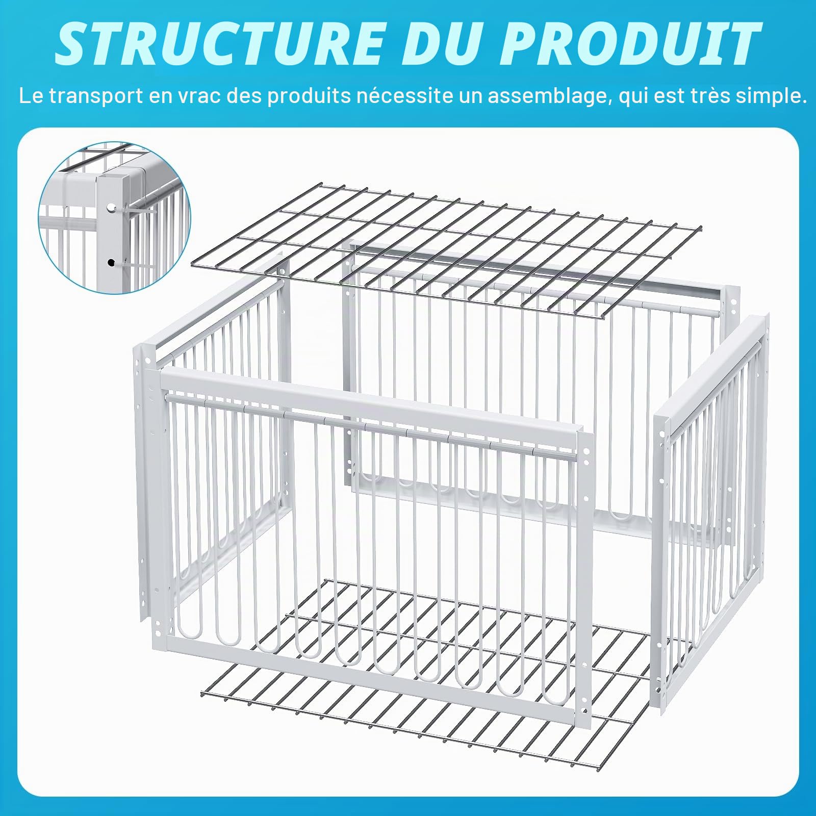Cage à Oiseaux pour Pigeons, Faisans, Canards Sauvages avec Entrée Unidirectionnelle à 4 Côtés - Cage pour Pigeons de Course, Colombes, Perroquets 40cm