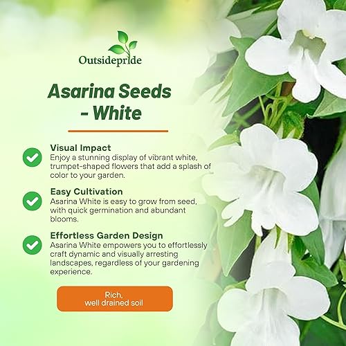 Miniatura 3 de Outsidepride 200 Semillas Perennes Blancas Asarina Escalada Snapdragon Semillas de Flor para Plantar