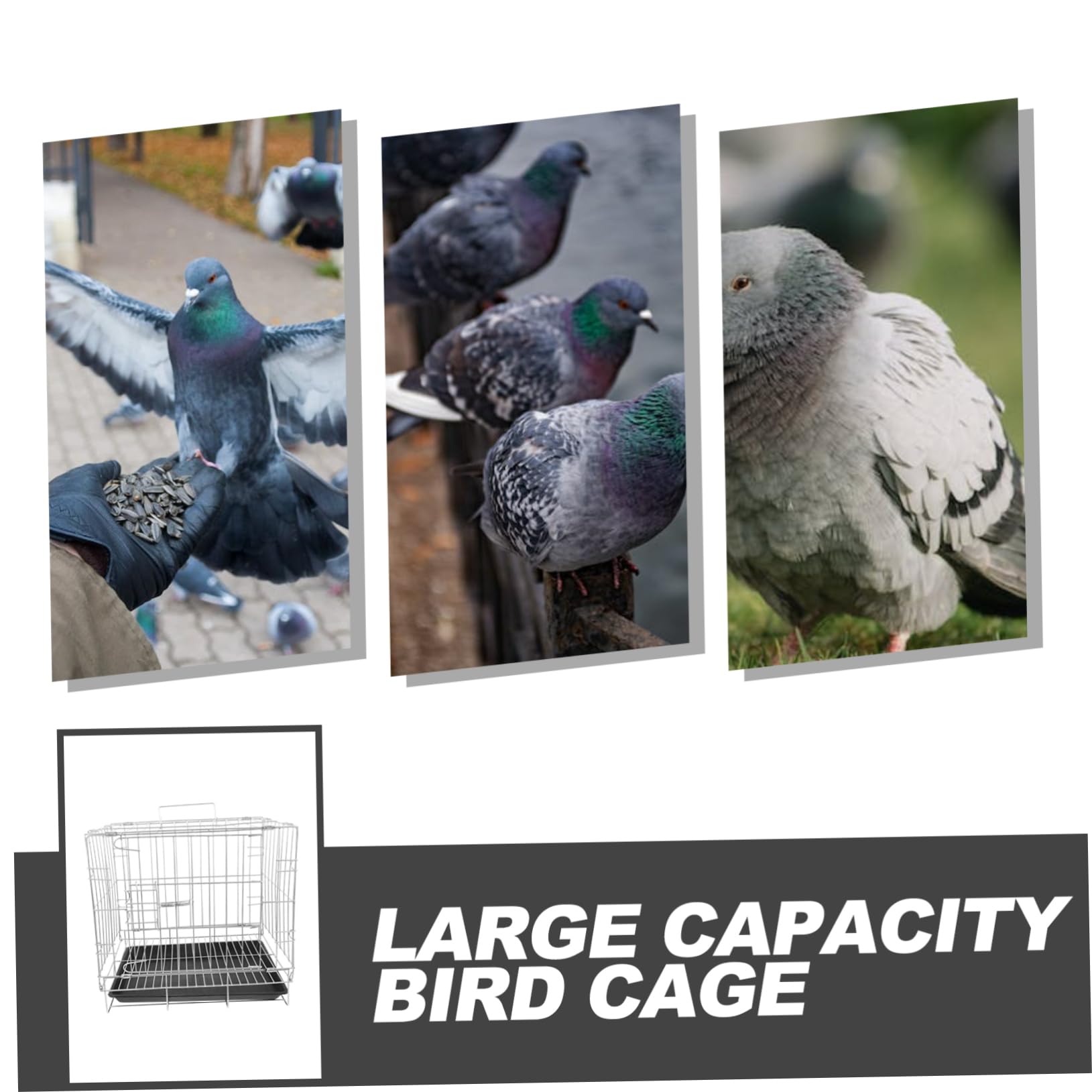 Jaula De Cría para Aves Gran Capacidad Jaula De Transporte De Pájaro De Inoxidable para Observación y Reproducción Casa
