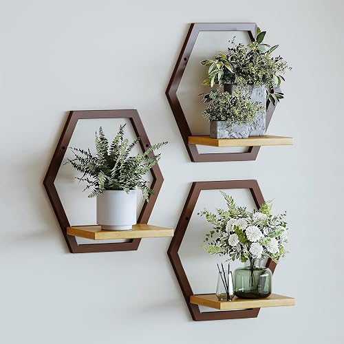 3 Pack Hexagon Wall Plant Stands, 9 Inch Wood Shelf, Coffee