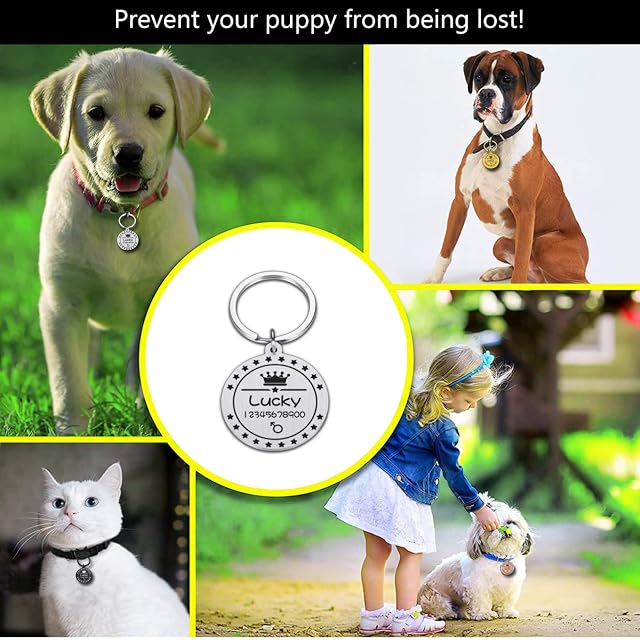 Foto 5 de 5 de Etiqueta De Identificación De Perro Personalizada,Libreta De Direcciones De Gato,Medalla De Cachorro…