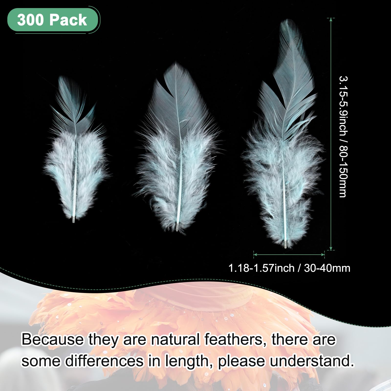 M METERXITY 300-Pack Saddle Hackle Rooster Feather - Image 3