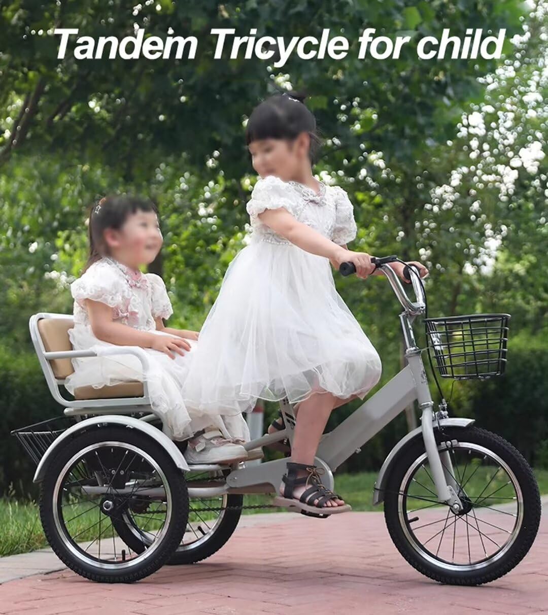 3 Wheels Bicycle with Back seat,Trike with armrest,Handle Lever Linkage Front and Rear Brakes,tricycles with Front and Back Baskets (Grey 14 in)