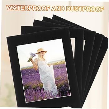 225万ノット！ピクチャーカーペット 額縁付き！50×70cm-190301 225万ノット！ピクチャーカーペット 額縁付き！50×70cm -191301