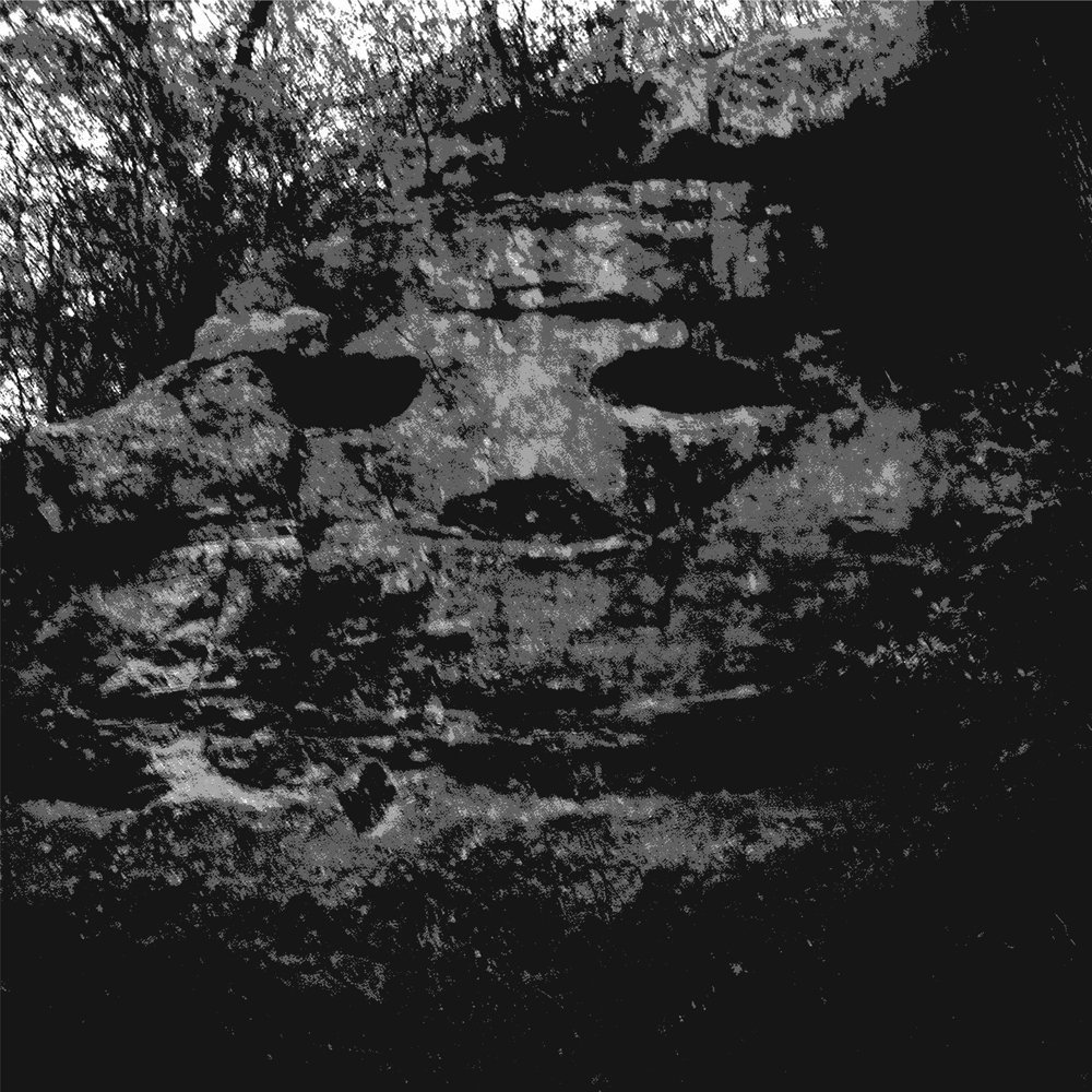 A Dragonfly For Each Corpse [VINYL]
