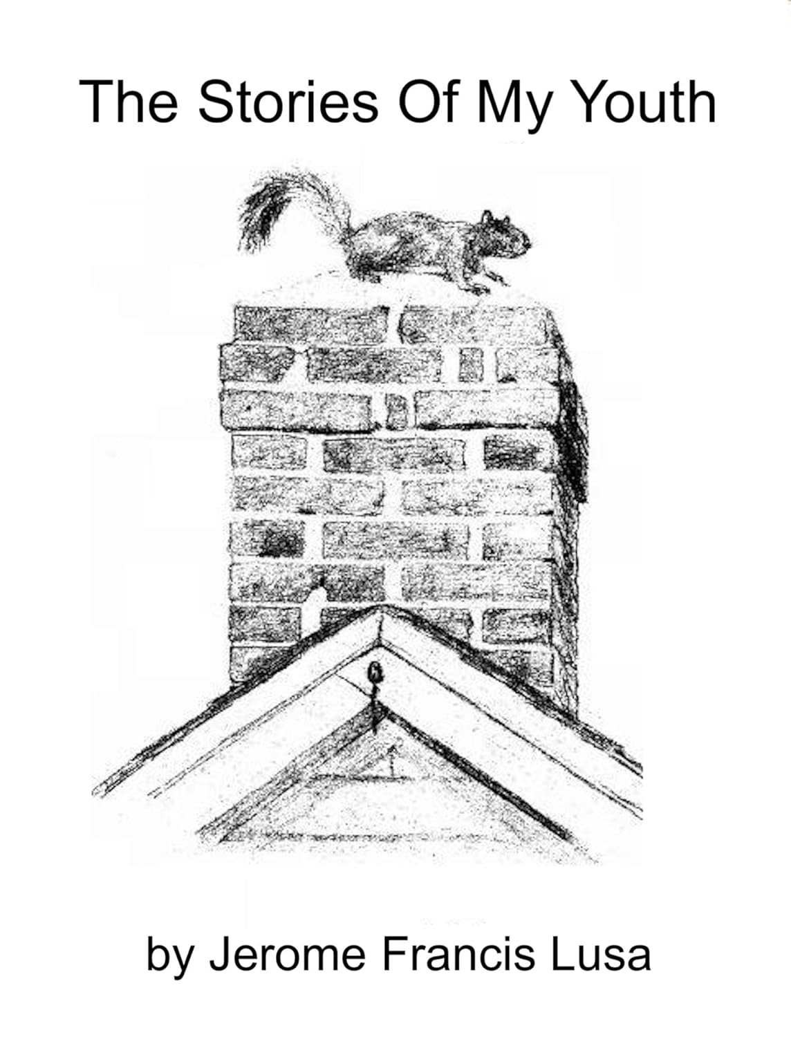 The Stories of My Youth eBook Lusa, Jerome Francis, L