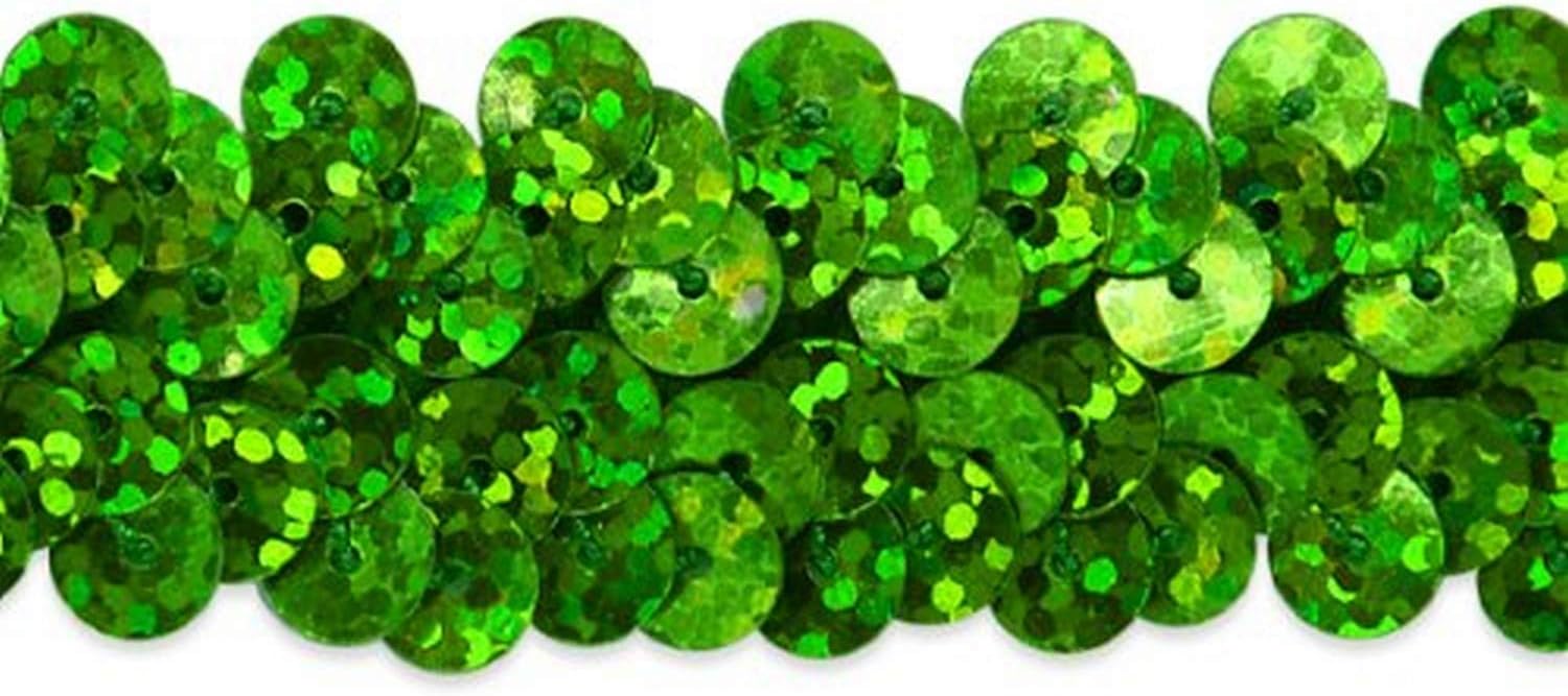 Expo International 20-Yard 2 Row Starlight Hologram Stretch Sequin Trim, 7/8-Inch, Magenta : Everything Else