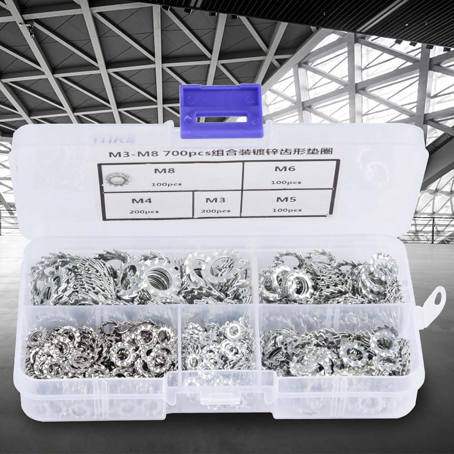 Oumefar 700Pcs Serrated Lock Washer Kit,Stainless Steel Galvanized Internal Star Tooth Lock Washers Fastening Tool Assort Set with Box, External Tooth Washers Assortment Set(M3/M4/M5/M6/M8)