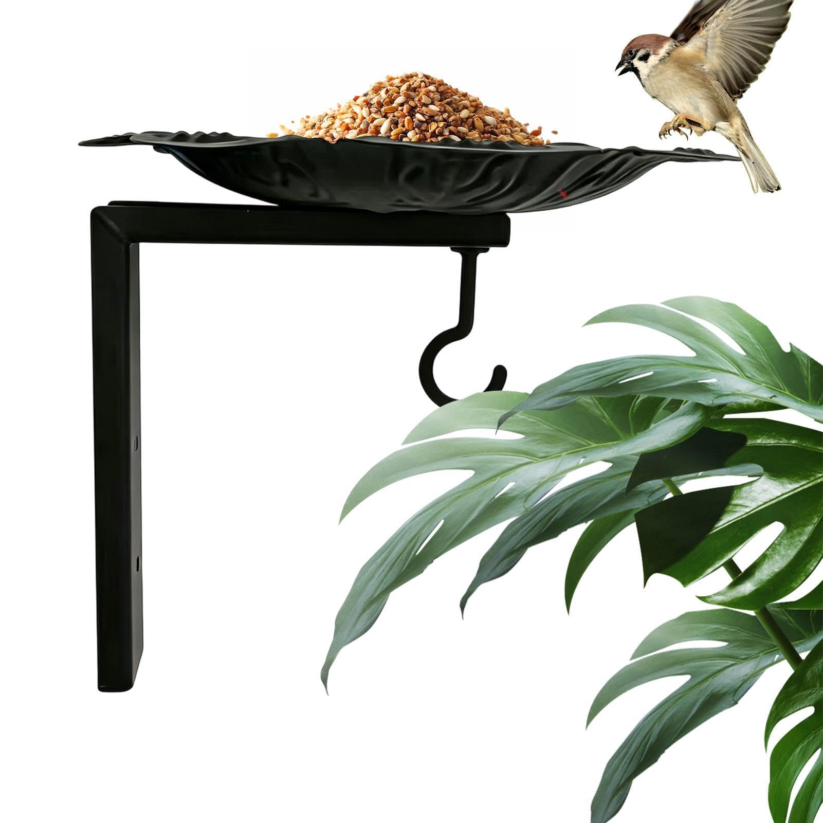 Mangeoire oiseaux à fixer pour éviter le gaspillage, grand plateau d'alimentation aras