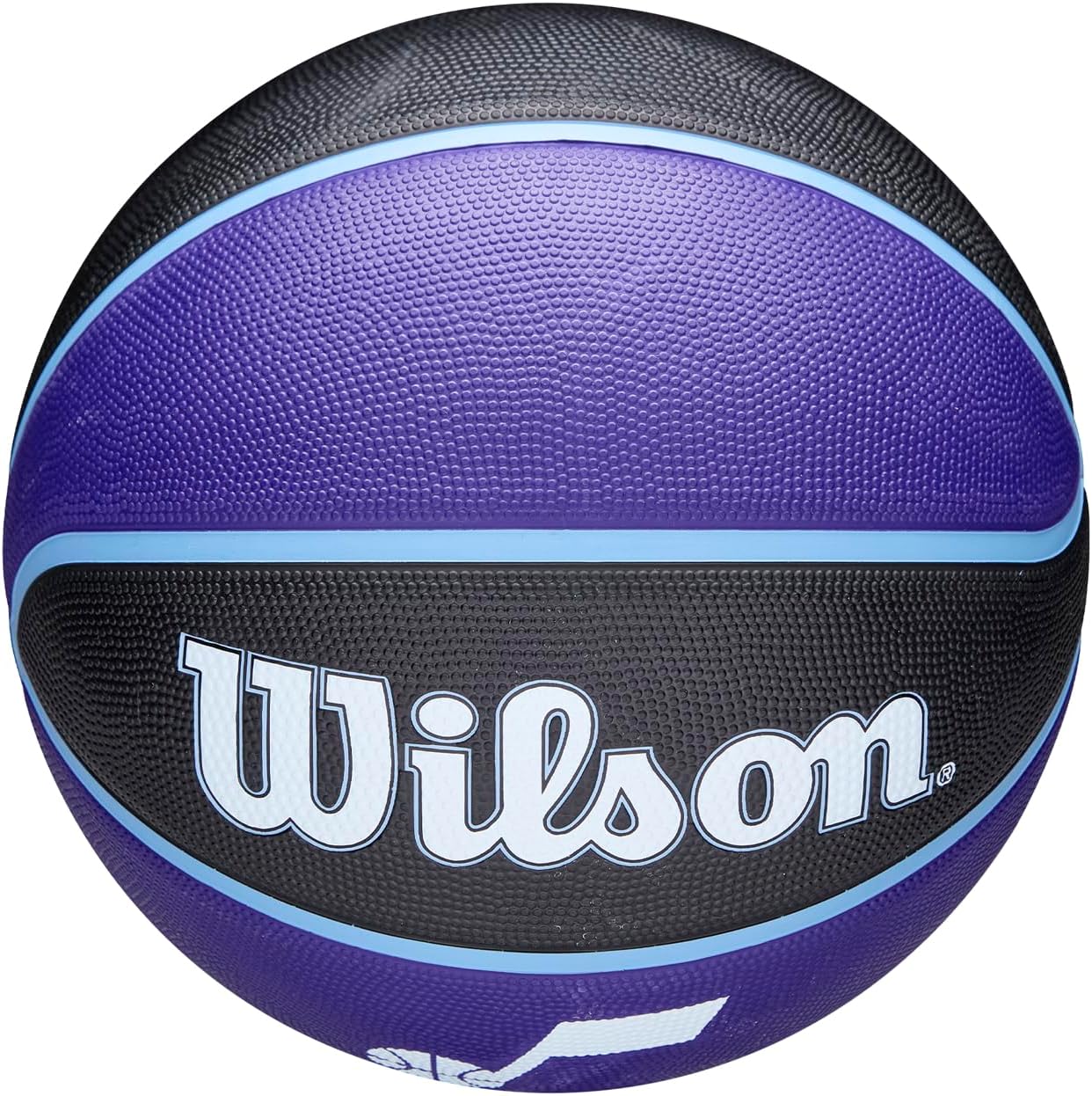 WILSON NBA Team Tribute Basketballs - Size 7-29.5"