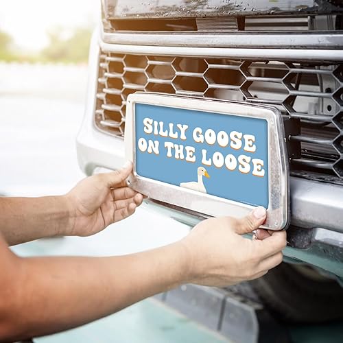 Miniatura 4 de Honey Dew Gifts, Silly Goose on The Loose, placa de matrícula divertida, placa decorativa, placas de tocador, placa frontal, placas novedosas,