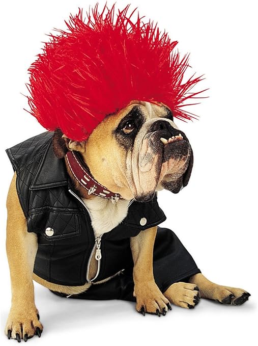 Amazon Co Jp Zelda Punk Dog Costume ゼルダパンク犬のコスチューム ハロウィン サイズ Medium Amazon Co Jp Zelda Punk Dog Costume ゼルダパンク犬のコスチューム ハロウィン サイズ Medium