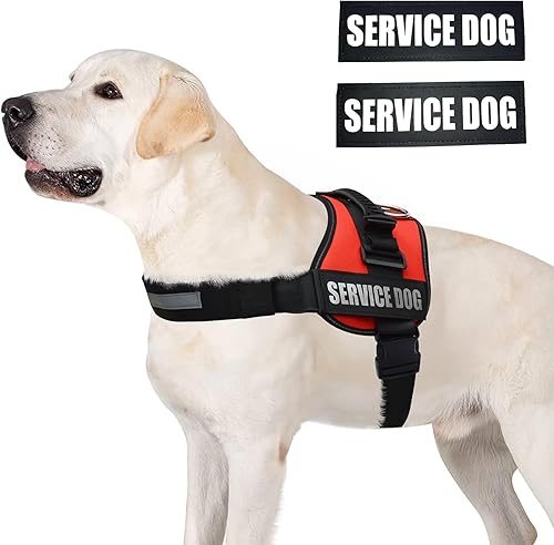 Miniatura 2 de ALBCORP - Arnés-chaleco reflectante para perro de servicio, hecho de poliéster y nailon, cómodo acolchado de malla, color rojo y negro