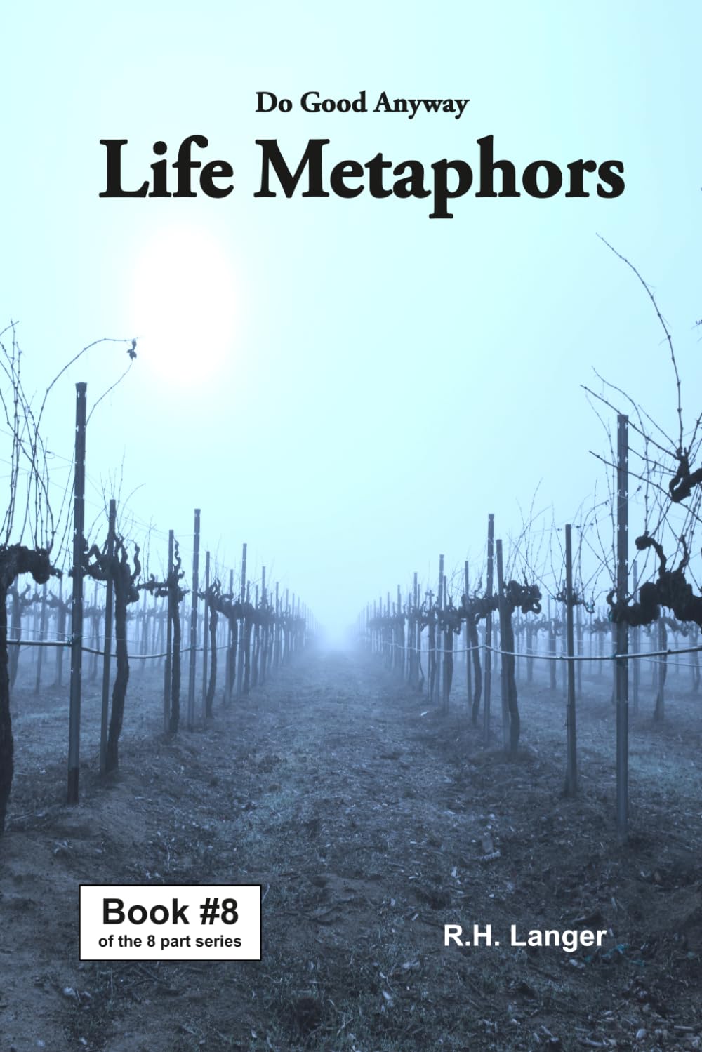 Do Good Anyway: Life Metaphors Book 8 of 8
