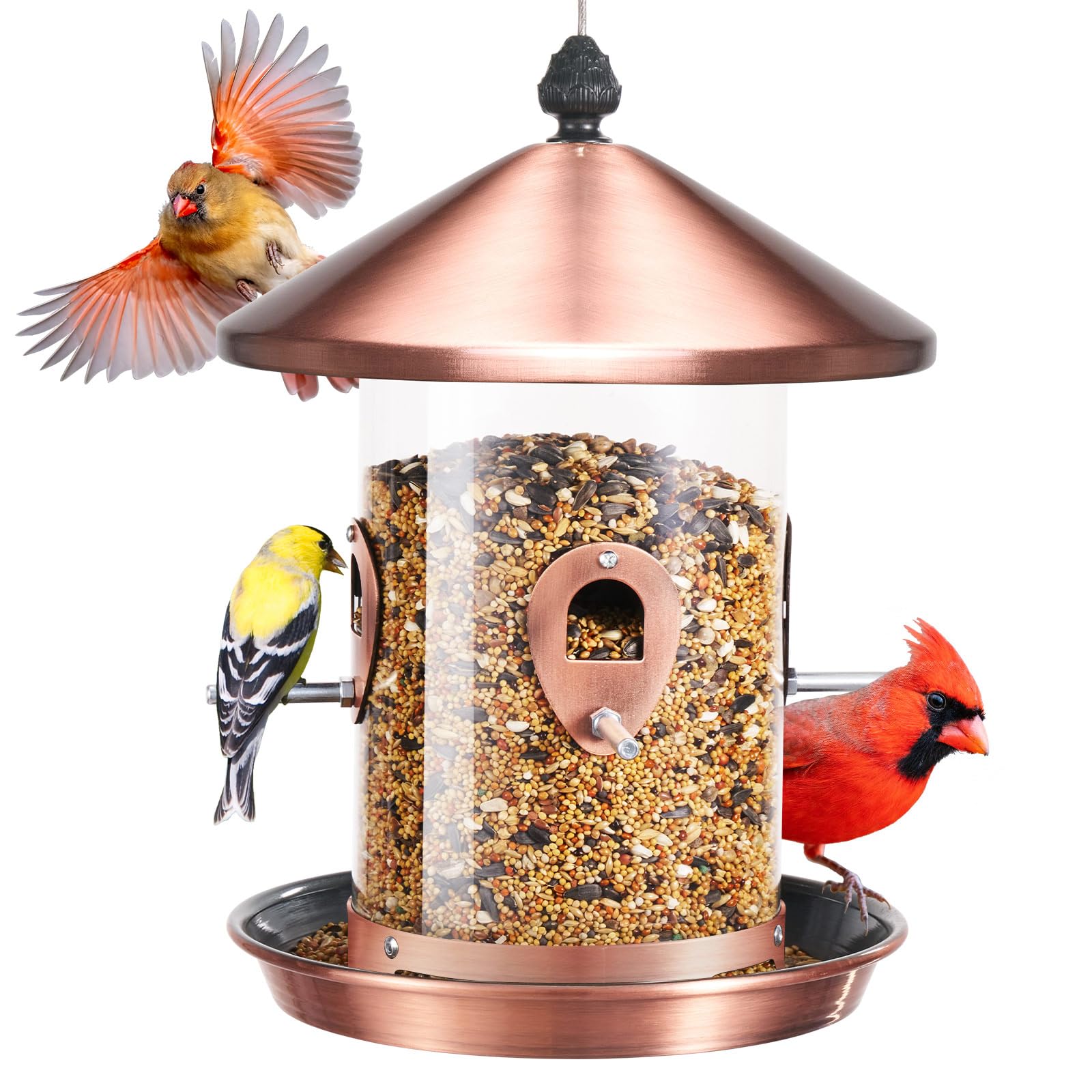 Kingsyard 4.5-Cups Large Metal Bird Feeder