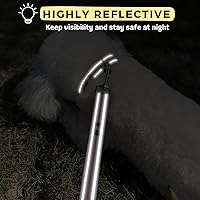 Vista 6 de FURRYFECTION Juego de collar y correa reflectante para perro con hebilla de liberación rápida, acolchado con neopreno, collar de nailon ajustable