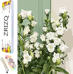 ZRIZQ Pintura por número para adultos iniciantes, tela de 30 cm x 40 cm C para kits de pintura para adultos em caixa colorida, pintura por números para decoração de parede de casa - lírio