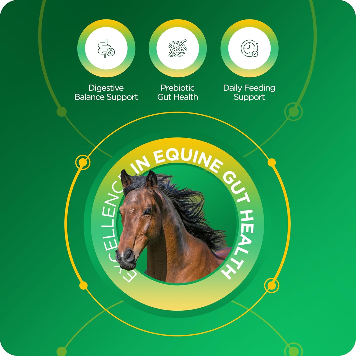 TRM Gastrofos Horse Feed Digestive Supplement for Ulcer Acid Reflux Prevention and Healthy Digestion | Neutralizes Stomach Acid - 6.6 lb (3kg) - 6.6 lb