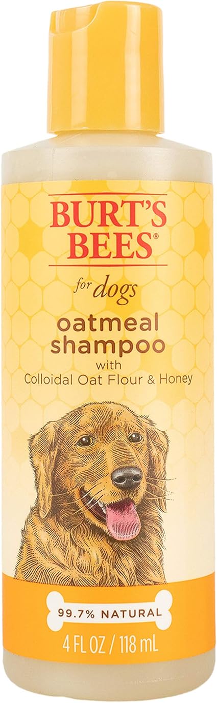 burt s bees for puppies tearless shampoo with buttermilk instacart