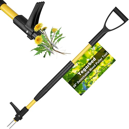 Tegarbed 39" Stand Up Weed Puller Tool - Heavy Duty Detachable 3-Claw Weeder with Ergonomic Long D-Handle | Tools for Effortless Garden Weed Removal (Dandelions, Thistles & More)