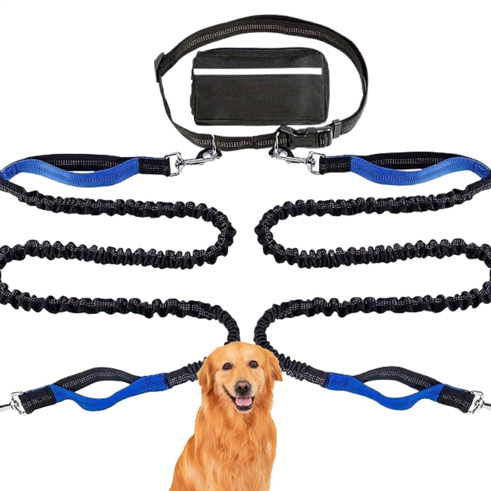Câble pour chien résistant pour les sorties au jardin et en extérieur