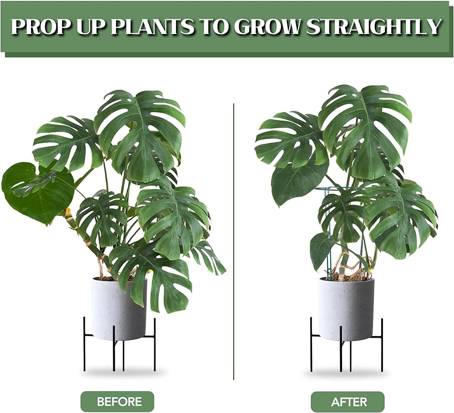 Joyhalo 12 Pack Plant Support Stakes for Indoor Plants 24 Inch, Peony Cages and Supports, Peony Cage with 15 Pcs Twist Ties, Monstera Plant Support for Plants Tomato, Hydrangea, Monstera