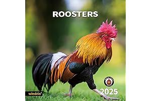 Proud Rooster 2022 Calendar