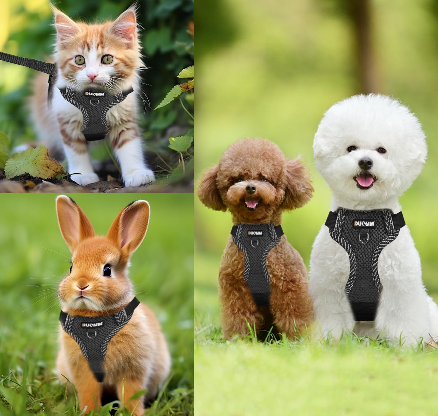 Cat Harness and Lead, Adjustable Kitten Harness with Reflective Strips, Cat Collar Set, Escape Proof Breathable Cat Vest Harness for Cats Dogs Pets Walking (S) 8 71eGq5o0YSL. AC SL1500