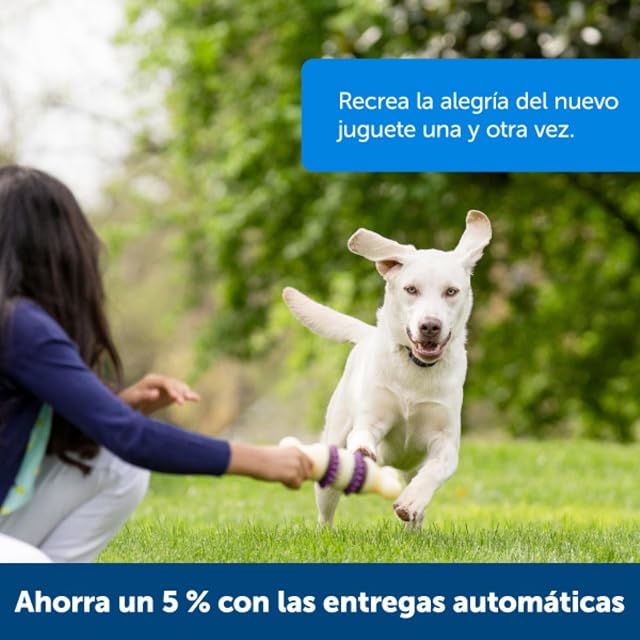 Foto 5 de 7 de PetSafe - Anillos de Golosina para Perros Busy Buddy, Anillos de Repuesto para Masticar, Golosinas…