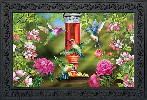 Miniatura 1 de Felpudo de resorte para colibríes, diseño floral, para interiores y exteriores, 30 x 18 pulgadas Briarwood Lane
