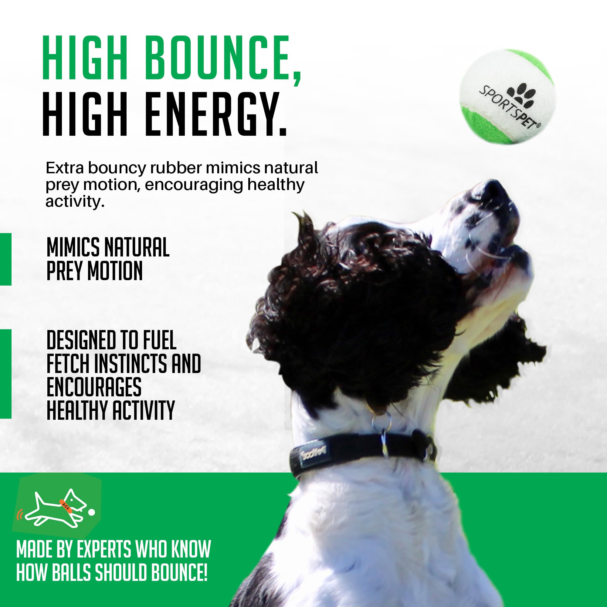 SPORTSPET x Celtic SQUEAK! Tennis Balls for Dogs, Green, White, 64mm - Image 4