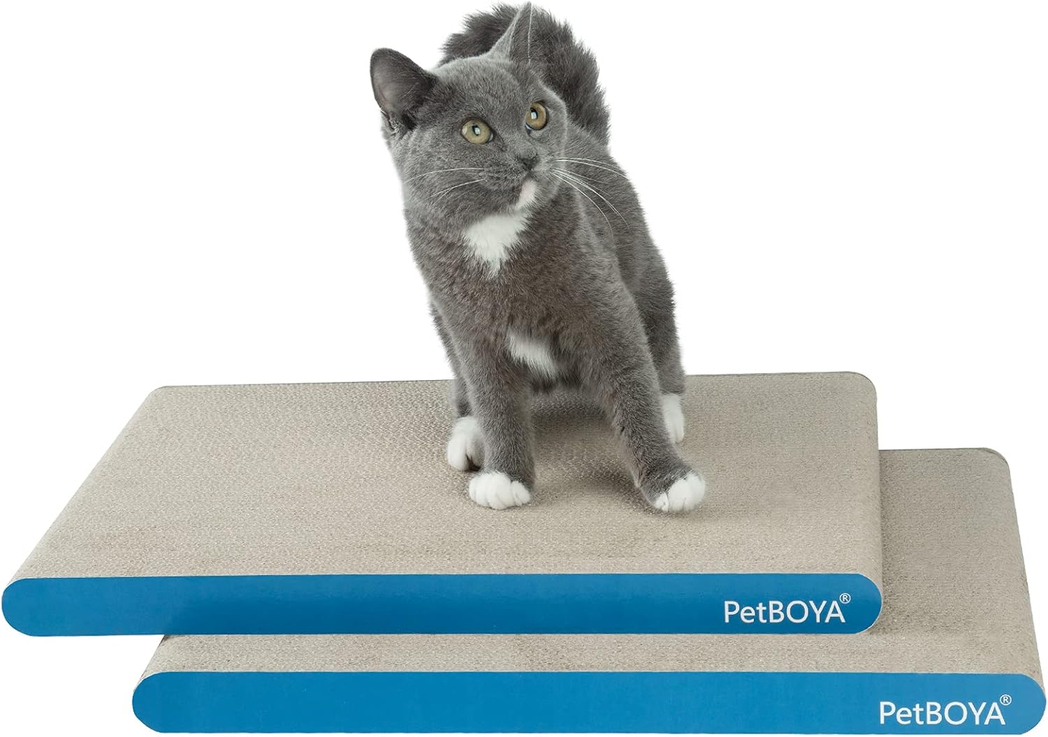 Extra Large Cat Scratch Pad,2 PCS Cat Scratching Pad