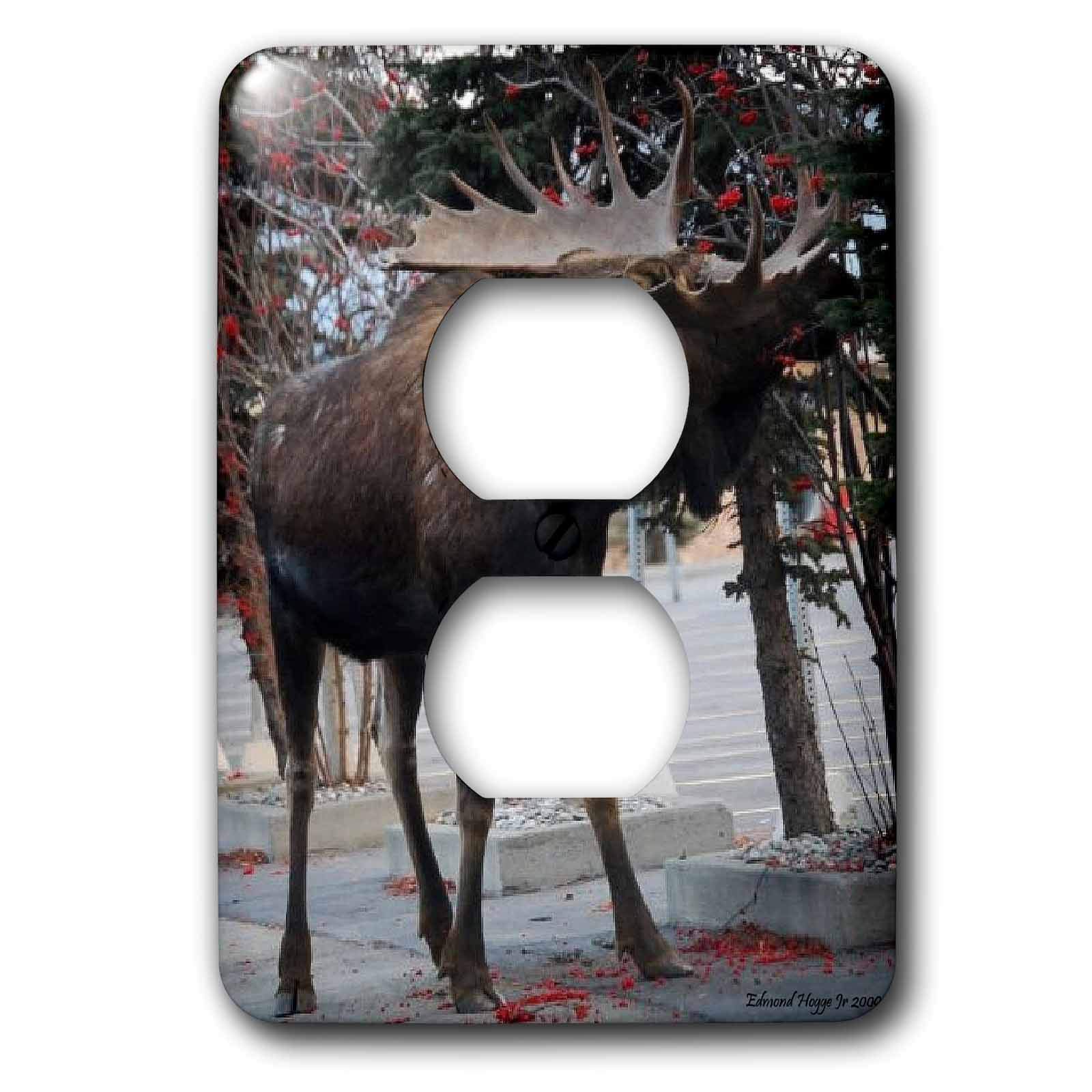Uptown Moose illustration originale sur plaque double pour 2 prises de courant 3dRose