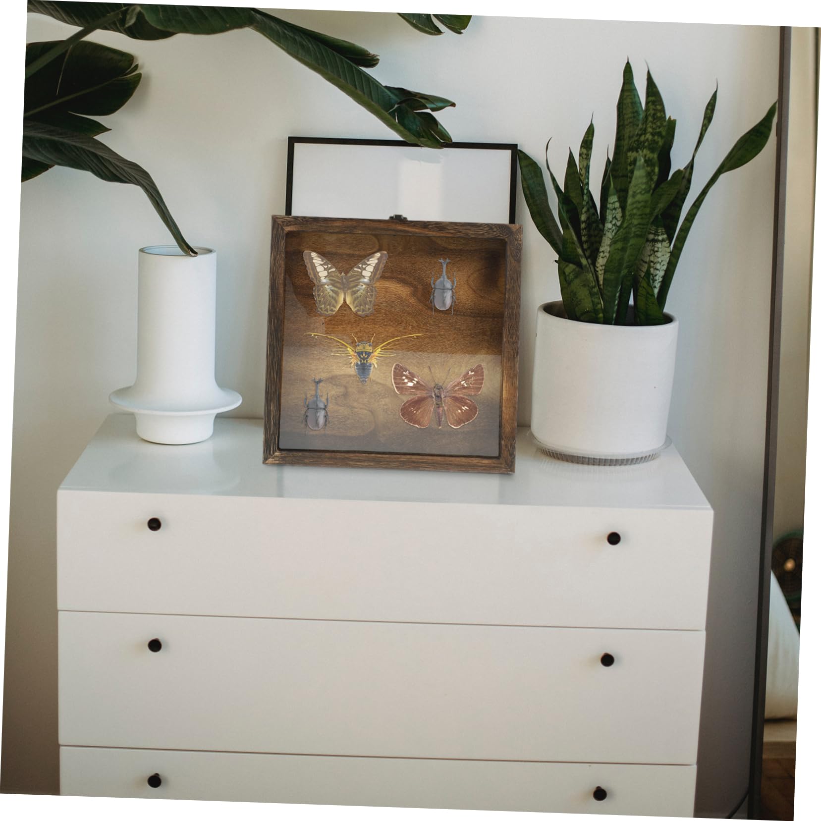 Zerodeko Caja de Exhibición para Insectos Diseño Retro, Gran Capacidad y Estructura Ligera de Acrílico y Madera Adecuado para Colgar Pared Estilo