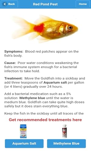 Goldfish Doctor