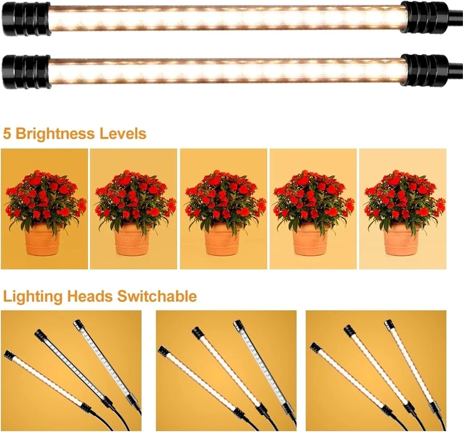 美品♢国内百貨店購入♢エルメス カシシル♢鞭とグリップ 2019AW dhc 