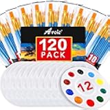 Painting Brush Palette Set, with 12 Packs of 120 Brushes and 12 Palettes,Nylon Brush Head, Suitable for Oil Watercolor, etc., Perfect Art Painting Set.