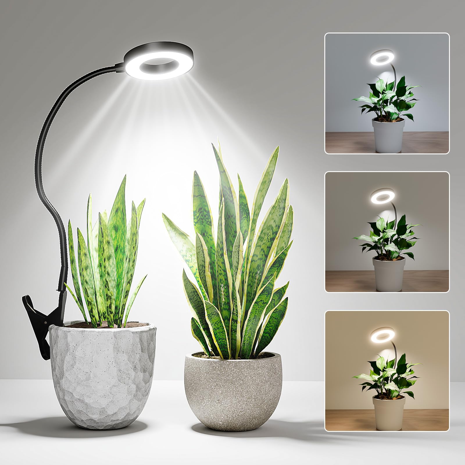 bamworld lampe horticole led spectre